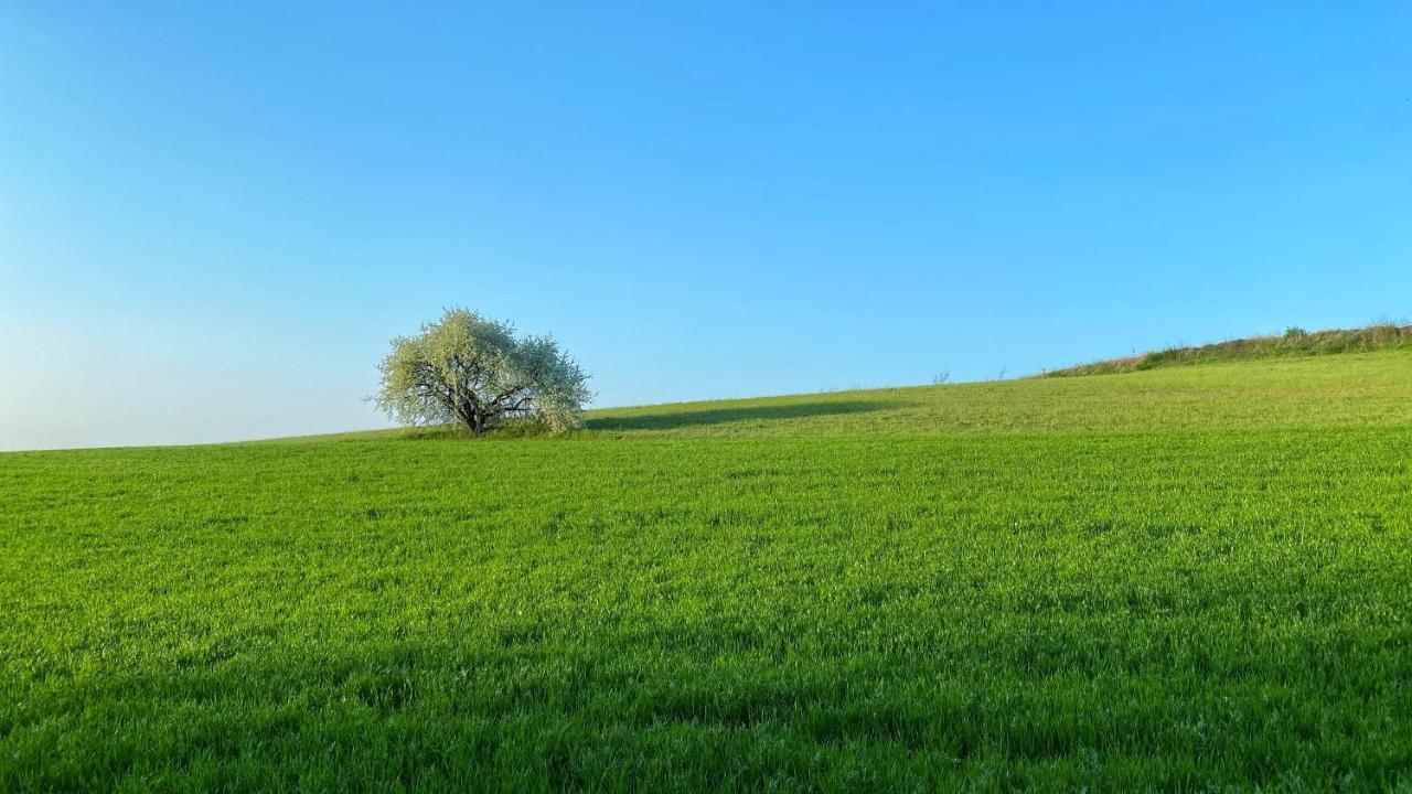 Agriturismo Albana كستليوني ديلي ستفييرا المظهر الخارجي الصورة